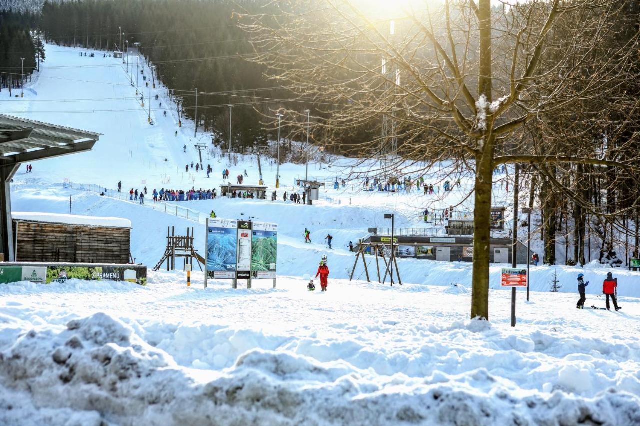 Chata U Vleku Kouty Nad Desnou Loučná nad Desnou Buitenkant foto