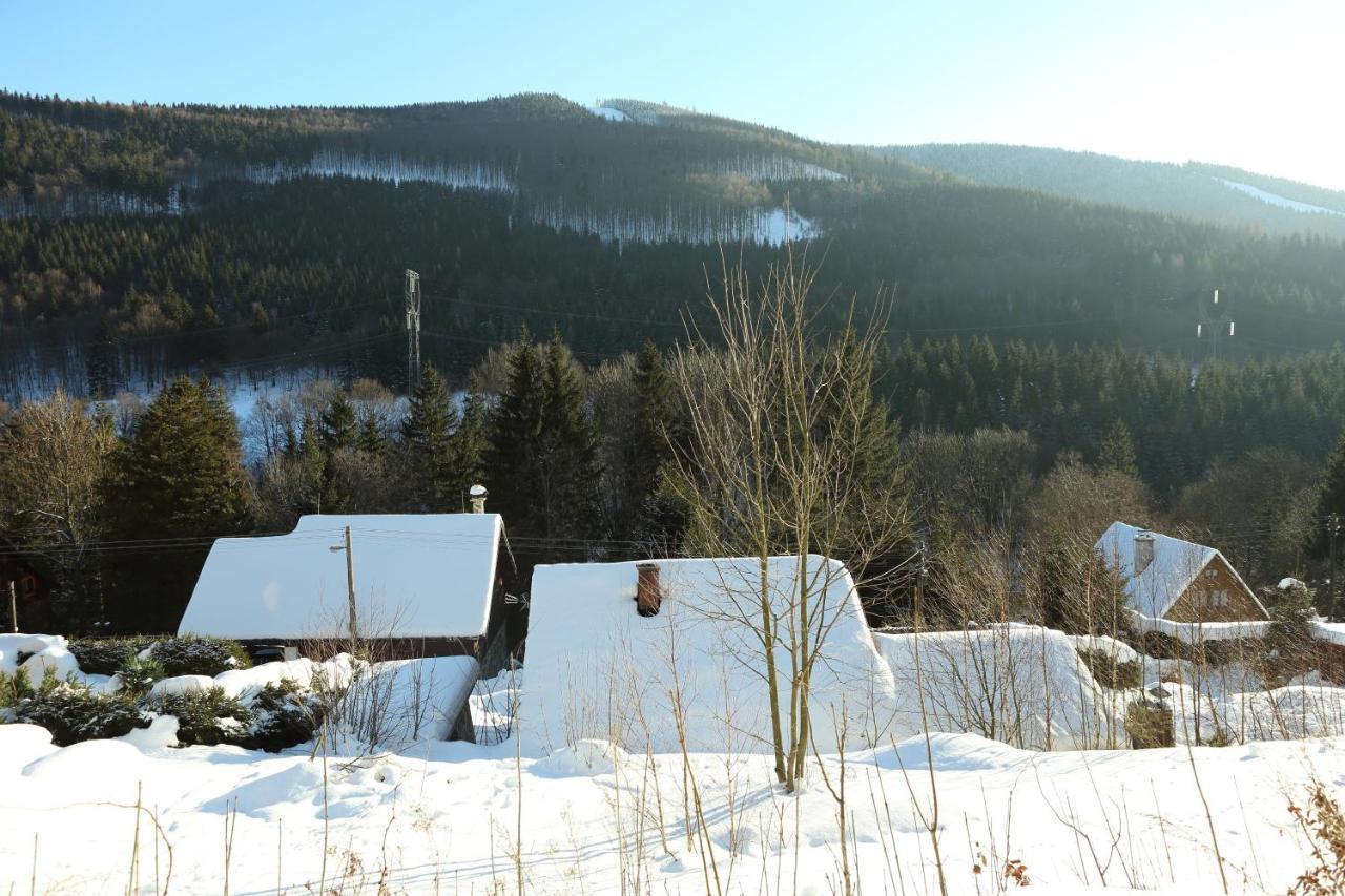 Chata U Vleku Kouty Nad Desnou Loučná nad Desnou Buitenkant foto